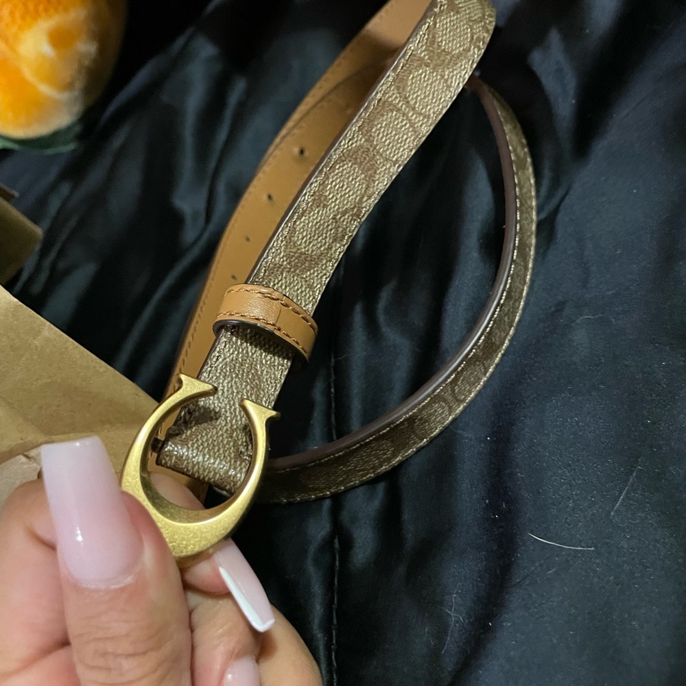 Coach belt